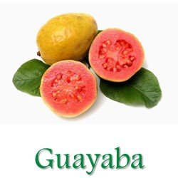 guayaba