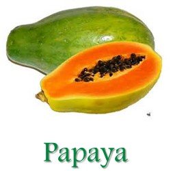 papaya