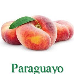 paraguayo