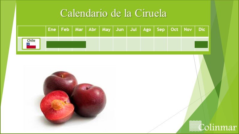 calendario-ciruela