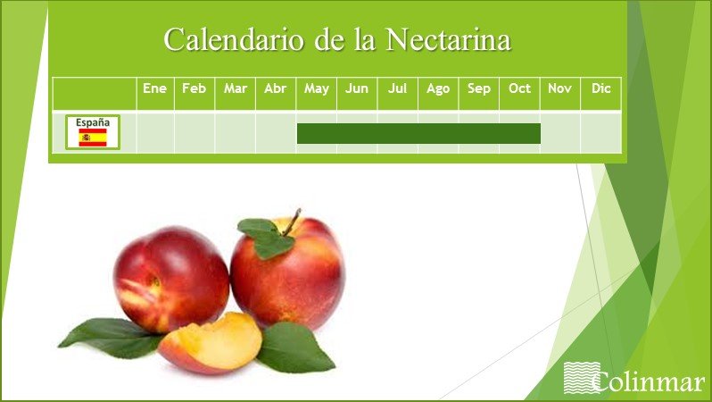 calendario-nectarina