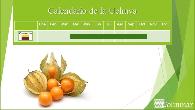 calendario-uchuva